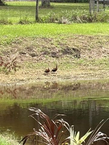 6289 S Header Canal Road, Port St. Lucie, FL 34987