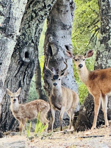 4427 Glencannon Dr, Fairfield, CA 94534