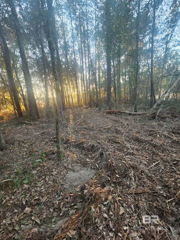 0 GARDNER Road, Elberta, AL 36530