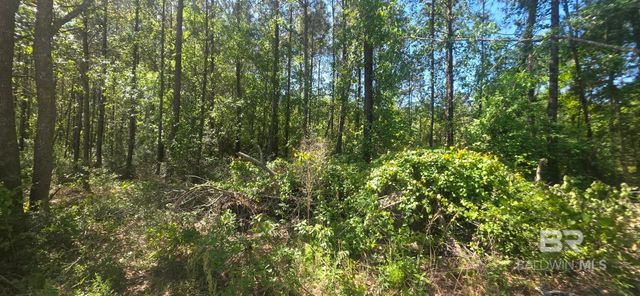 0 GARDNER Road, Elberta, AL 36530