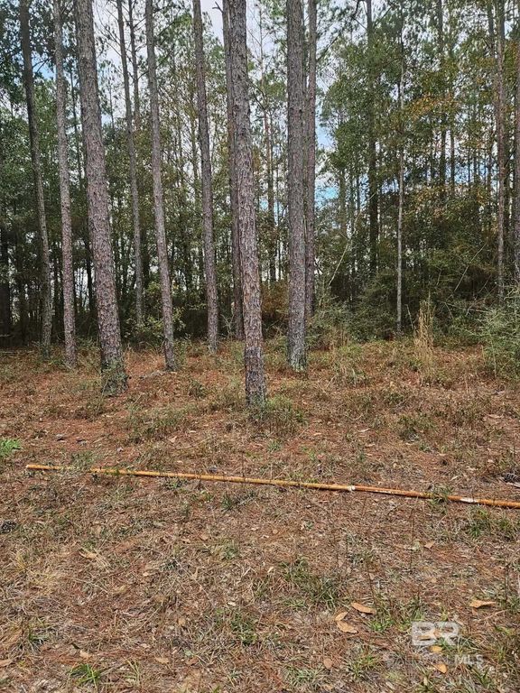 0 GARDNER Road, Elberta, AL 36530
