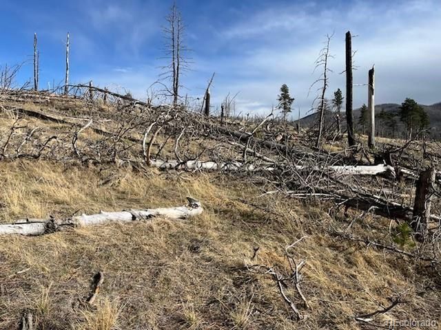 1020 Hassan Ln, Fort Garland, CO 81133