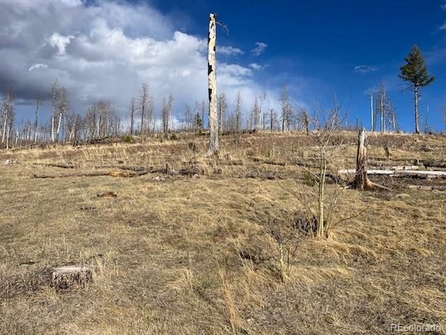 1020 Hassan Ln, Fort Garland, CO 81133