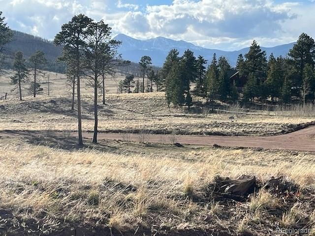 1020 Hassan Ln, Fort Garland, CO 81133