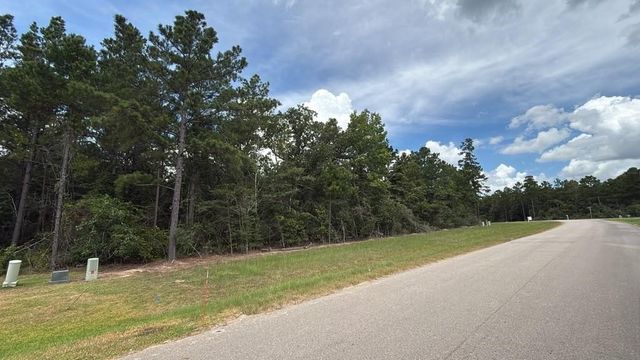 7621 Trinity Pines Dr, Montgomery, TX 77316
