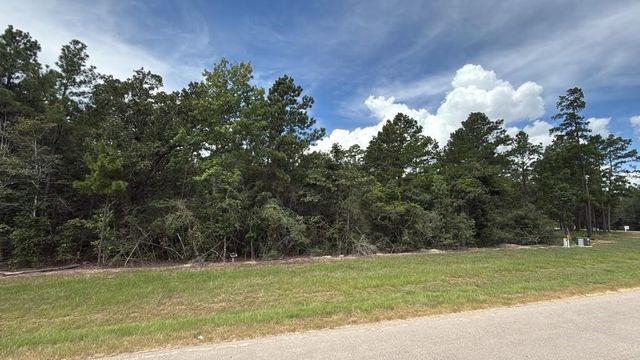 7621 Trinity Pines Dr, Montgomery, TX 77316