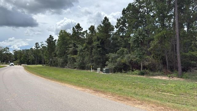 7621 Trinity Pines Dr, Montgomery, TX 77316