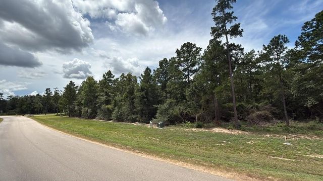 7621 Trinity Pines Dr, Montgomery, TX 77316