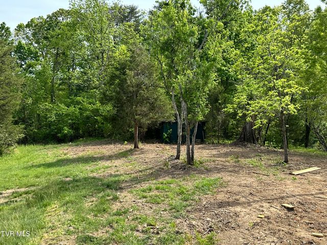 148 Walker Cemetery Road, Bulls Gap, TN 37711