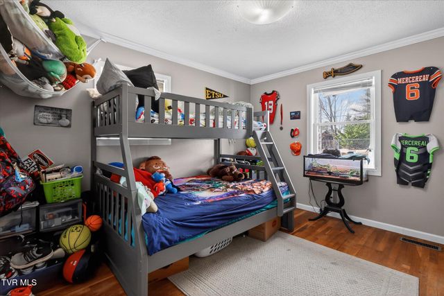 146 Circleview Drive, Johnson City, TN 37615