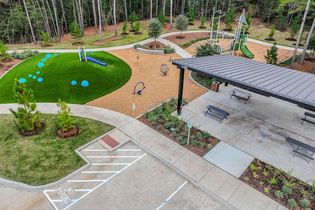 24915 Nolana Court, Montgomery, TX 77316