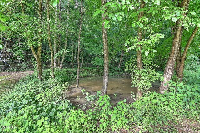 655 Wadlow Gap Road, Kingsport, TN 37660