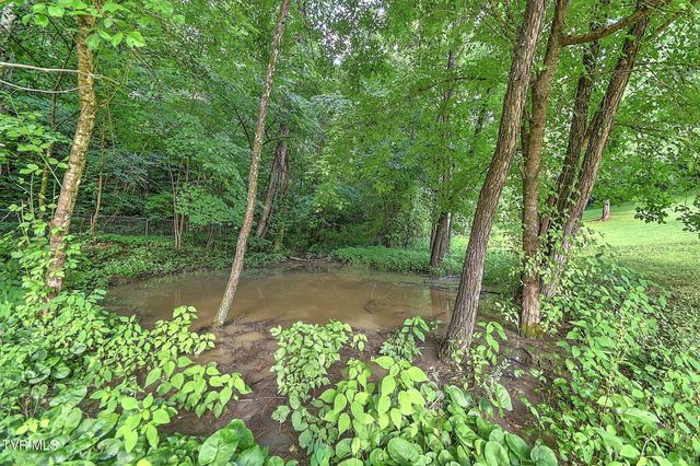 655 Wadlow Gap Road, Kingsport, TN 37660