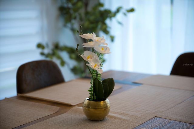 2960 KOKOMO LOOP, Haines City, FL 33844