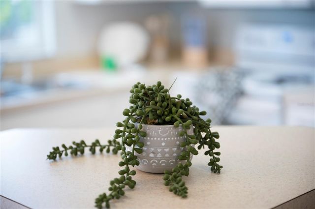 2960 KOKOMO LOOP, Haines City, FL 33844