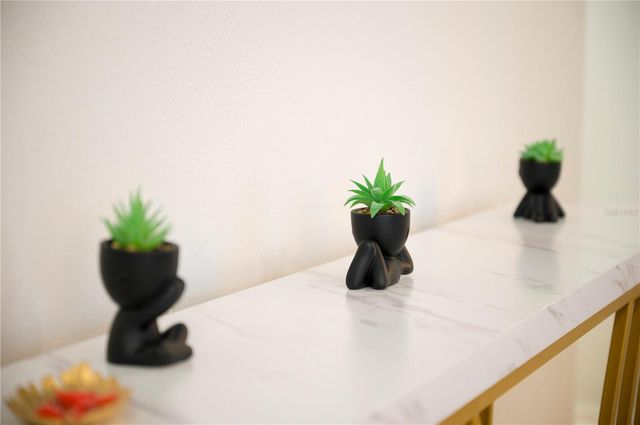 2960 KOKOMO LOOP, Haines City, FL 33844