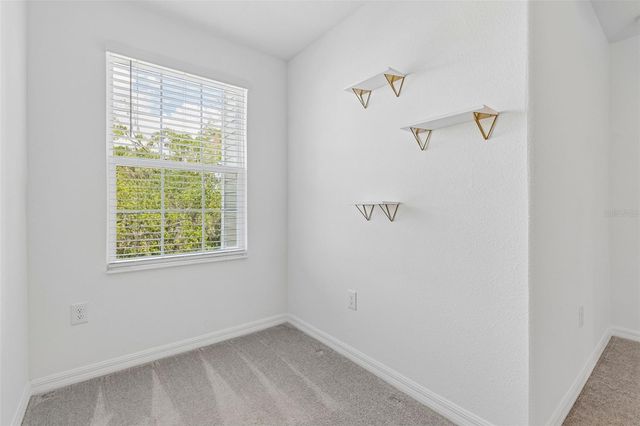 4436 TUSCAN LOON DRIVE, Tampa, FL 33619