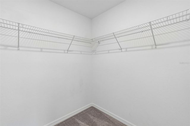 4436 TUSCAN LOON DRIVE, Tampa, FL 33619