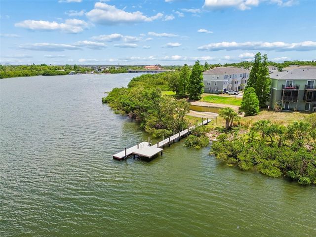 4436 TUSCAN LOON DRIVE, Tampa, FL 33619