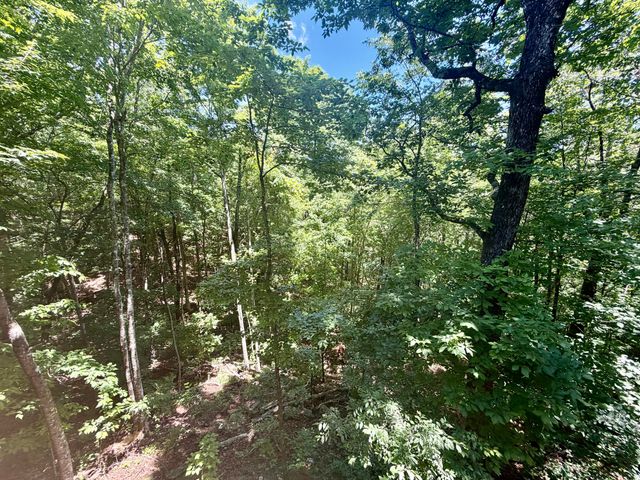 8940 Big Bend Road, Signal Mountain, TN 37377
