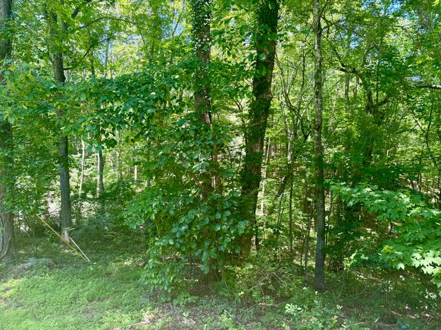 8940 Big Bend Road, Signal Mountain, TN 37377