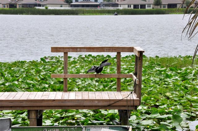 1600 W LAKE PARKER DRIVE A3, Lakeland, FL 33805