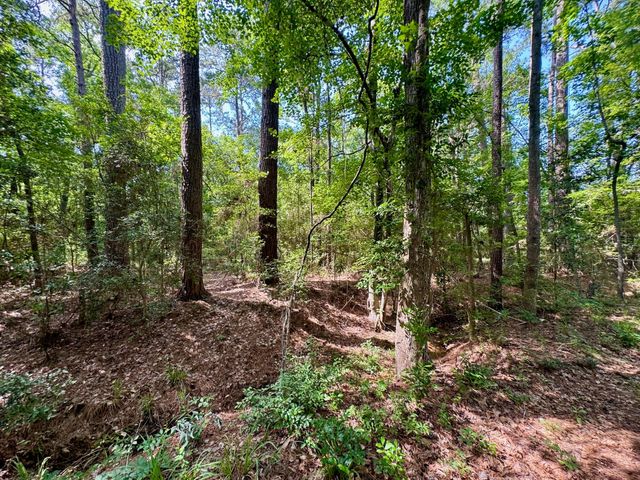 TBD Crockett Road, Willis, TX 77378