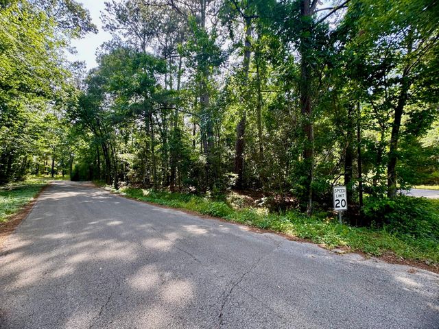 TBD Crockett Road, Willis, TX 77378