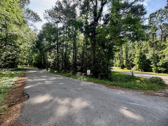 TBD Crockett Road, Willis, TX 77378