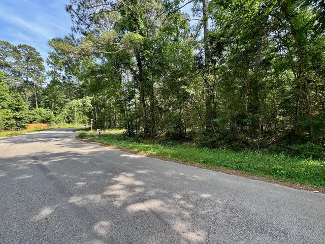 TBD Crockett Road, Willis, TX 77378