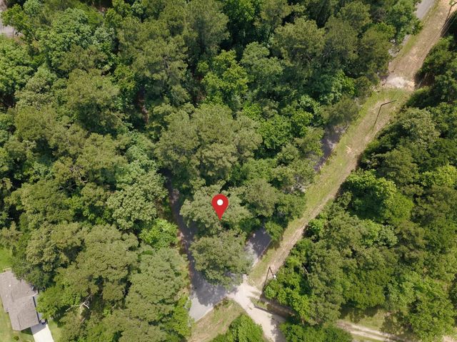 TBD Crockett Road, Willis, TX 77378