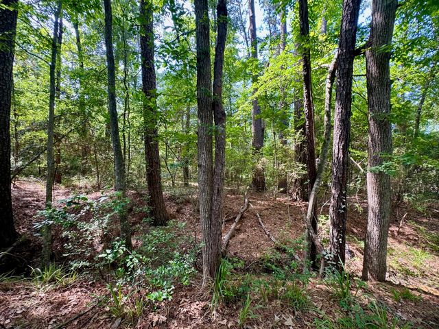 TBD Crockett Road, Willis, TX 77378