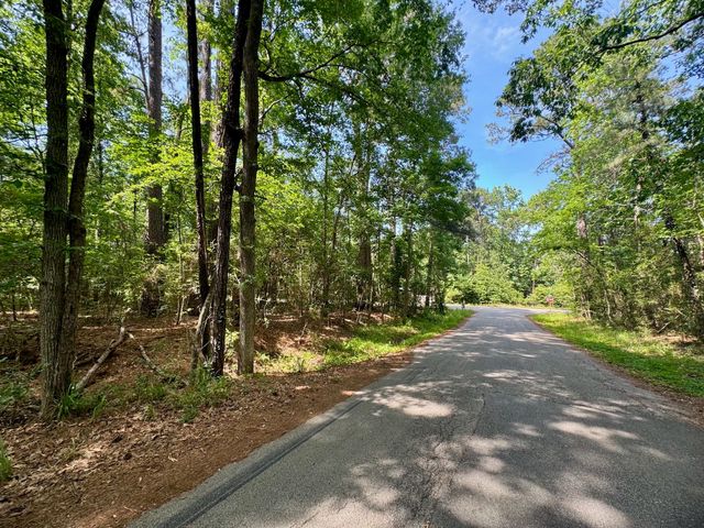 TBD Crockett Road, Willis, TX 77378
