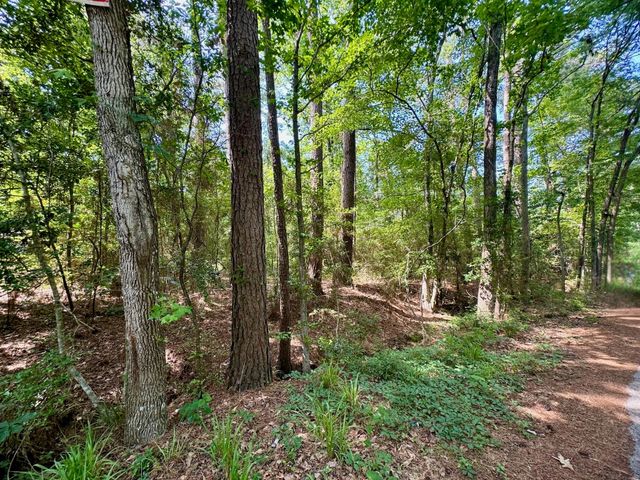 TBD Crockett Road, Willis, TX 77378