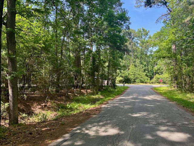 TBD Crockett Road, Willis, TX 77378