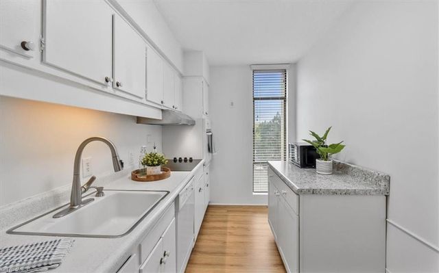 1101 N Elm Street 303, Greensboro, NC 27401