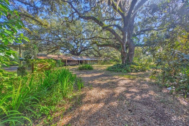 9580 MCINTOSH ROAD, Dover, FL 33527