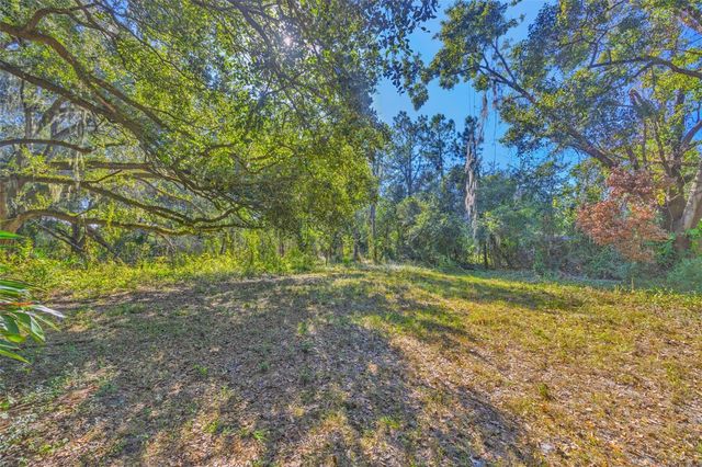 9580 MCINTOSH ROAD, Dover, FL 33527