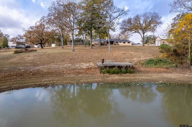 2906 VZ CR 4923, Ben Wheeler, TX 75754