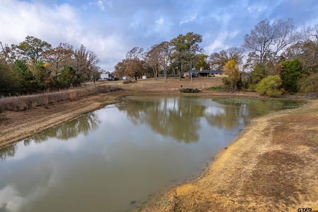 2906 VZ CR 4923, Ben Wheeler, TX 75754