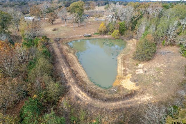 2906 VZ CR 4923, Ben Wheeler, TX 75754