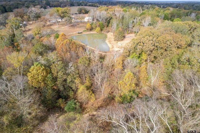 2906 VZ CR 4923, Ben Wheeler, TX 75754