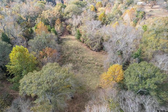 2906 VZ CR 4923, Ben Wheeler, TX 75754