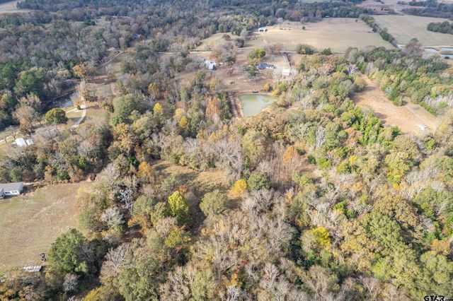 2906 VZ CR 4923, Ben Wheeler, TX 75754