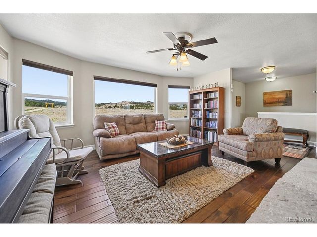 74 Dwyer Trl, Hartsel, CO 80449