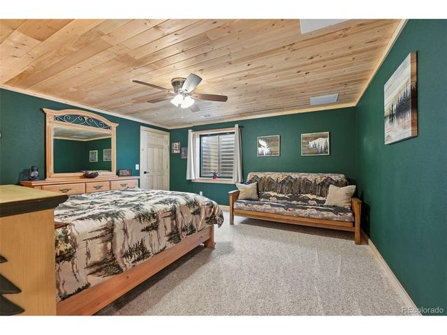 74 Dwyer Trl, Hartsel, CO 80449
