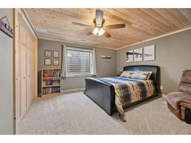 74 Dwyer Trl, Hartsel, CO 80449