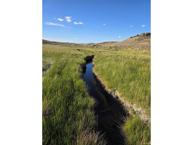 74 Dwyer Trl, Hartsel, CO 80449