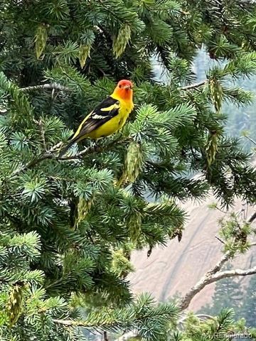 6104 Coffee Pot Road, Manitou Springs, CO 80829