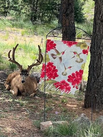 6104 Coffee Pot Road, Manitou Springs, CO 80829